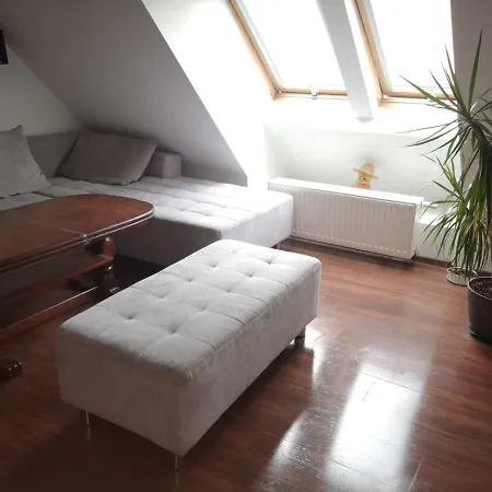 Apartamenty Lena 16 Twoje Poddasze Ratibor Exterior foto