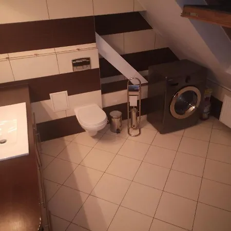Apartamenty Lena 16 Twoje Poddasze Ratibor Exterior foto