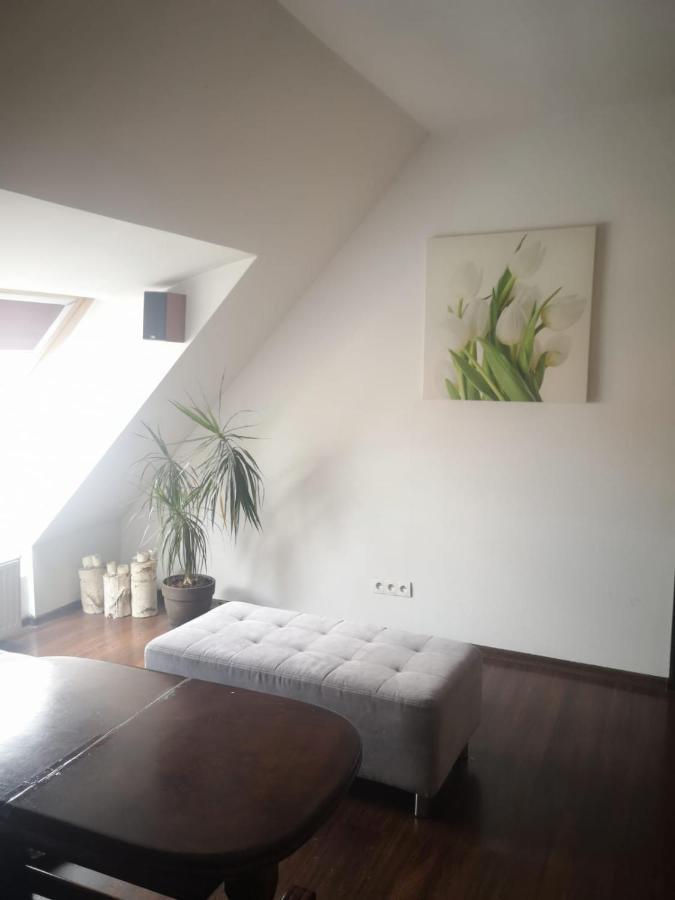 Apartment Lena 16 Twoje Poddasze *